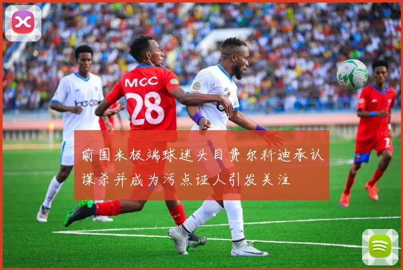 前国米极端球迷头目费尔科迪承认谋杀并成为污点证人引发关注