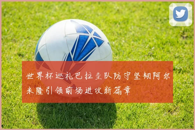 世界杯巡礼巴拉圭队防守坚韧阿尔米隆引领前场进攻新篇章