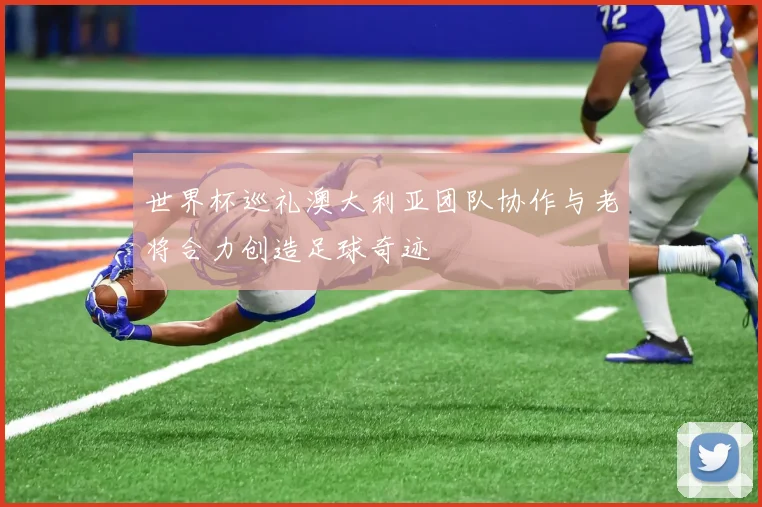 世界杯巡礼澳大利亚团队协作与老将合力创造足球奇迹