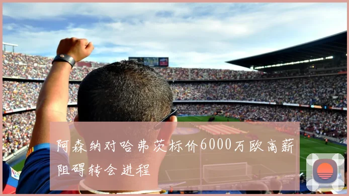阿森纳对哈弗茨标价6000万欧高薪阻碍转会进程